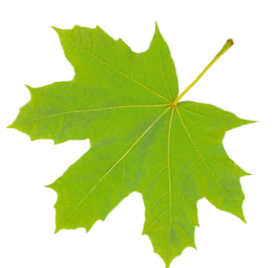 myTweak Leaf